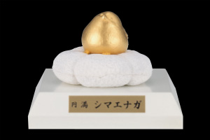 K24 円満シマエナガ